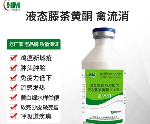 寒流又又又来了，养鸡的朋友，你们还好吗？