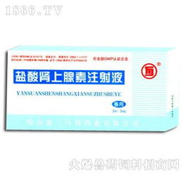 哈尔滨三马兽药业 火爆招商，共拓兽药饲料新蓝海