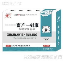 国营洛阳市兽药厂 守护动物健康，助力畜牧发展